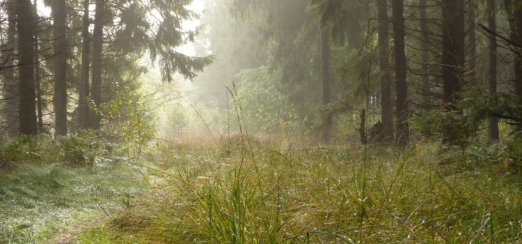 Afstand - waarom we voortdurend 'aan staan'.